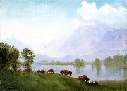 Buffalo Country Albert Bierstadt